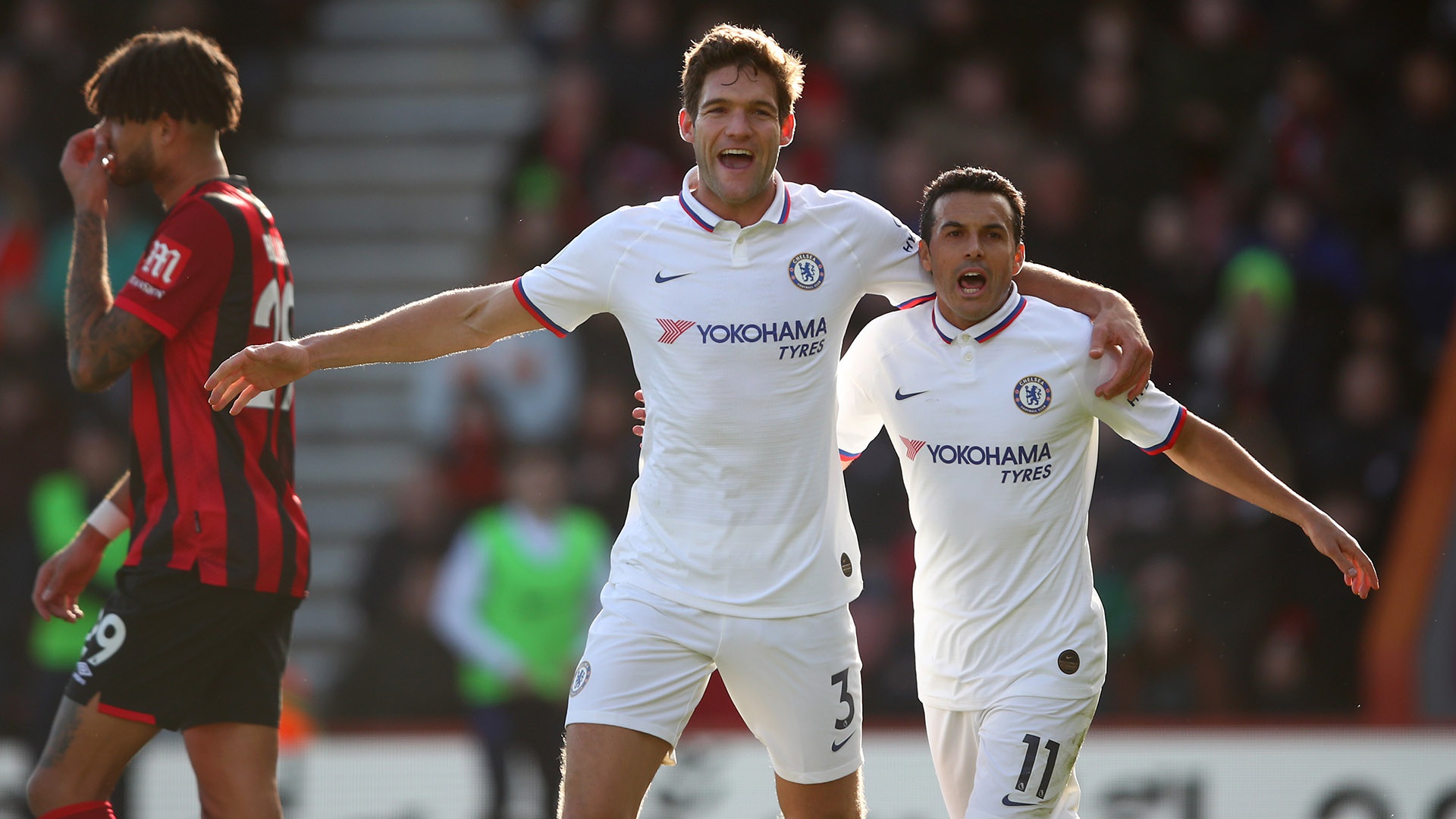 力和攻击欲 力和攻击欲